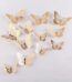 10Pcs Metallic Butterfly Gold Stock Mart Lanka
