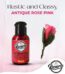Rasarco Antique Rose Thick 28ml Stock Mart Lanka