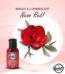 Rasarco Neon Red Thick 28ml Stock Mart Lanka