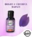 Rasarco Barney Purple 28mlStock Mart Lanka