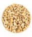 Cashew Pieces 100g Stock Mart Lanka