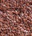 Flax Seeds